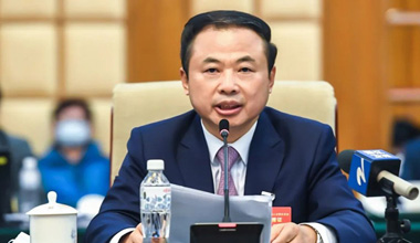 两会季丨围绕新能源工业，，，，，张天任代表提交这些建议