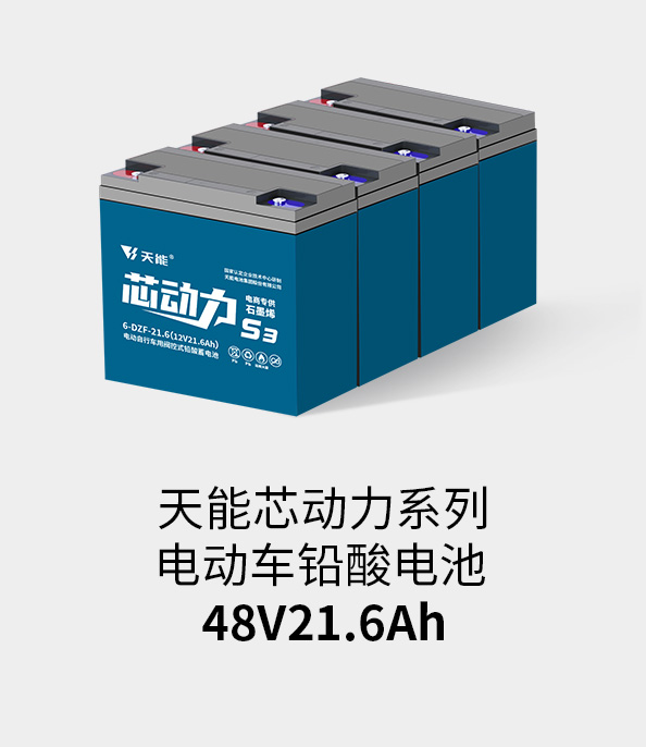 尊凯龙时官网电池48v20ah
