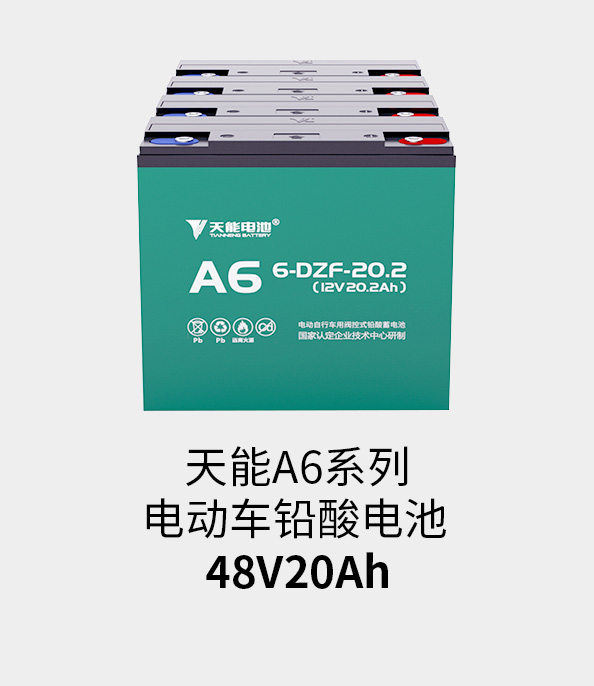 尊凯龙时官网电池48v20ah